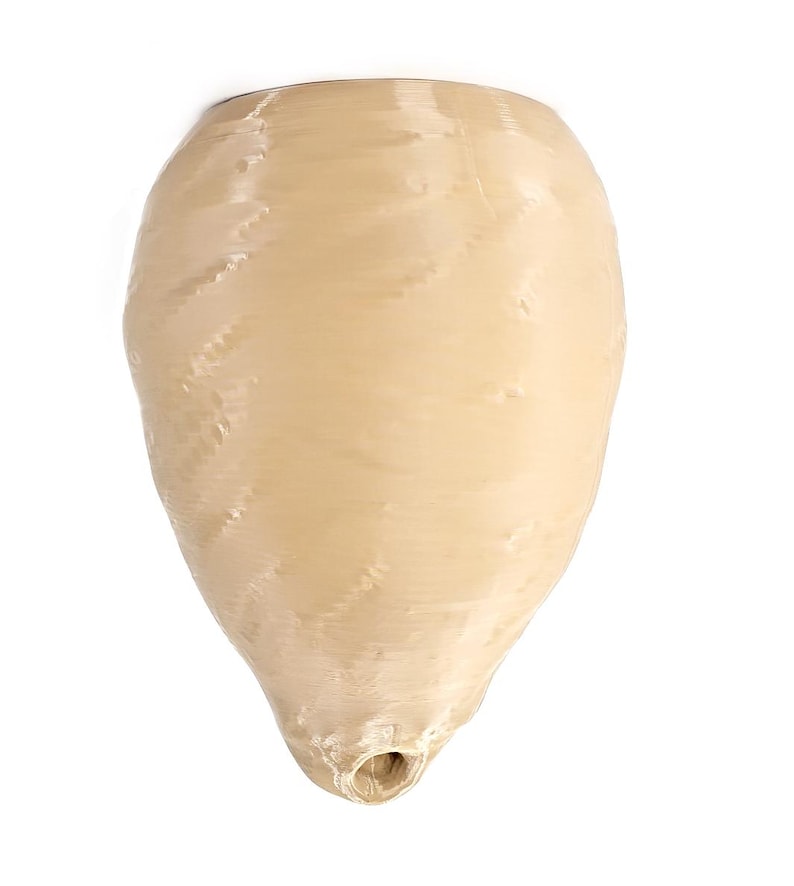 Wilbur’s Finest Decoy Wasp Hornet Nest - Thumbnail 2