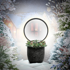 May include: A black planter with a ring of white lights around the top. The planter is filled with a green plant and is sitting on a snowy surface. The background is a blurry image of a house with snow falling.