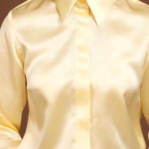 Close-up of the chest area, capturing the natural glow of the silk material and the precise stitching around the collar and button placket. The smooth finish of the luxurious fabric showcases the blouse as a standout piece in any wardrobe
