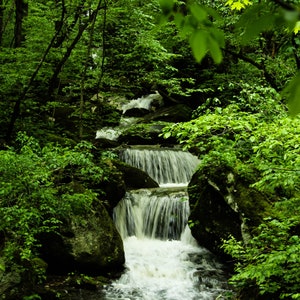 Indian Creek 2, Buffalo River