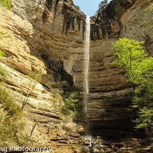 Hemmed-In Hollow Falls, Buffalo River