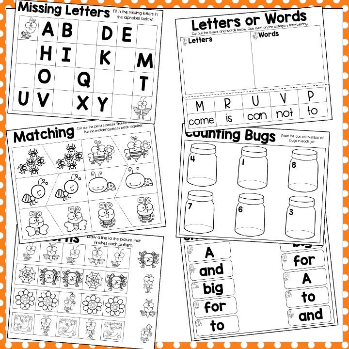 Insects and Bugs Preschool Theme - Etsy