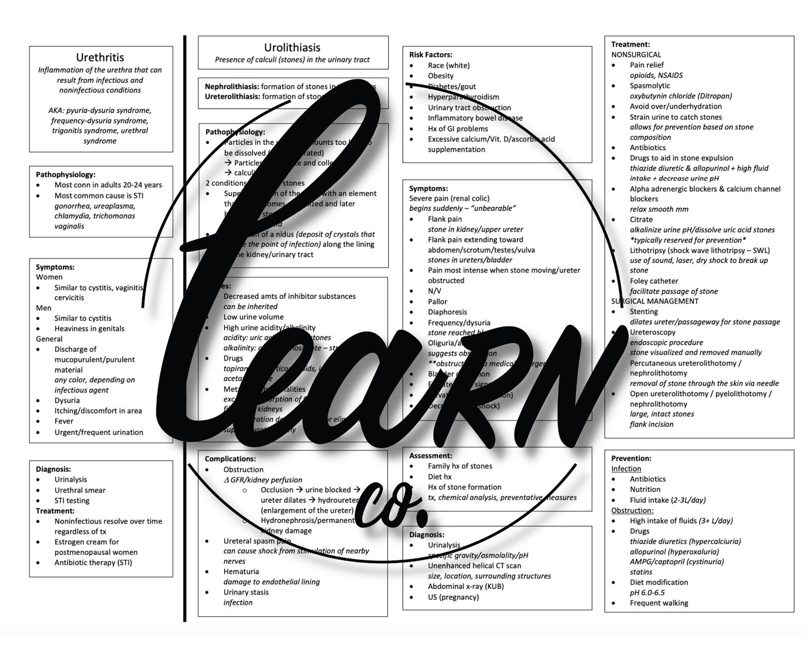 Nursing concept map renal study aid urinary system nurse student nurse