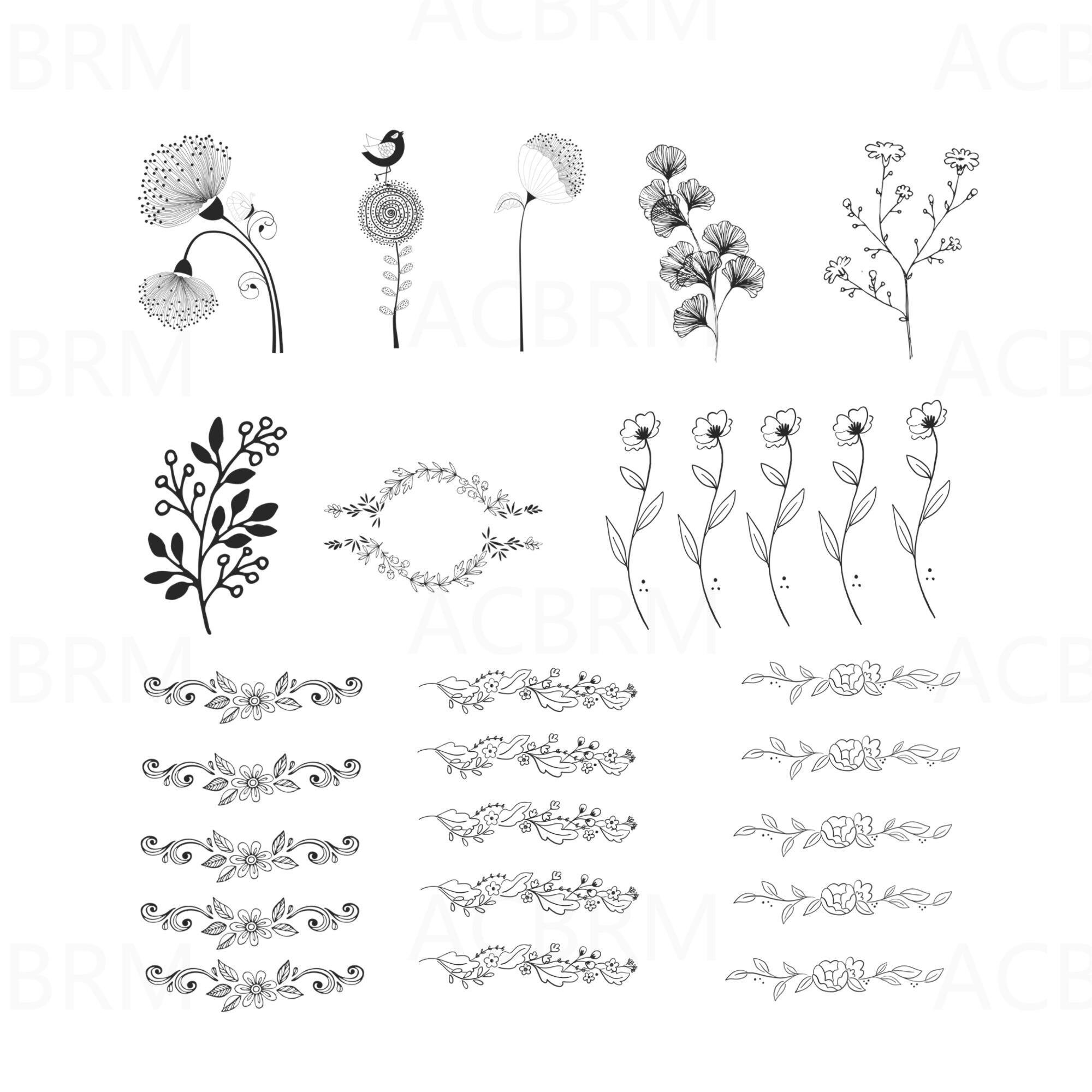 145 Procreate Botanical Stamps | Floral Procreate Stamps | Flowers ...