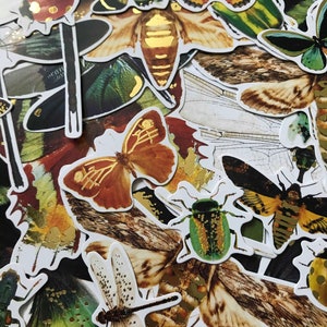 Peut inclure: Une collection d'autocollants d'insectes colorés représentant des papillons, des libellules, des scarabées et des papillons de nuit. Les autocollants ont un style vintage et sont imprimés sur du papier blanc avec des accents dorés.