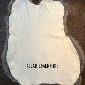 May include: A clean-edged hide with a white center and a gray fur trim. The hide is irregularly shaped and lies on a dark brown leather surface. The text "CLEAN EDGED HIDE" is printed on the hide.