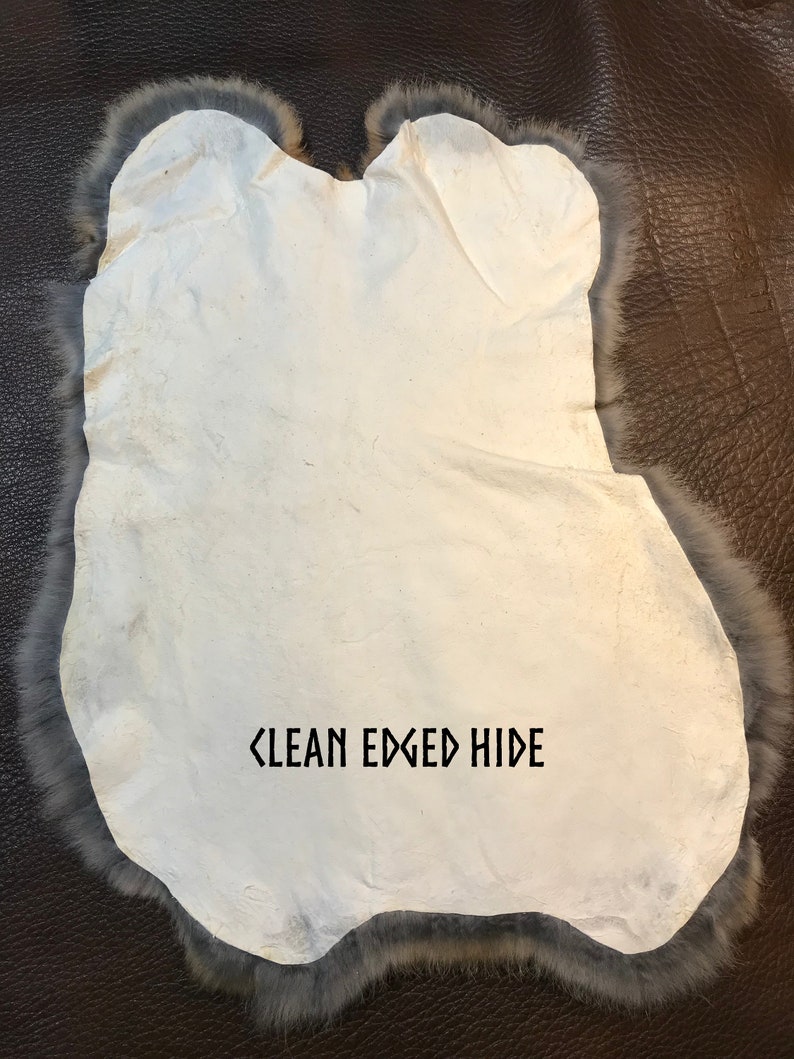 May include: A clean-edged hide with a white center and a gray fur trim. The hide is irregularly shaped and lies on a dark brown leather surface. The text "CLEAN EDGED HIDE" is printed on the hide.