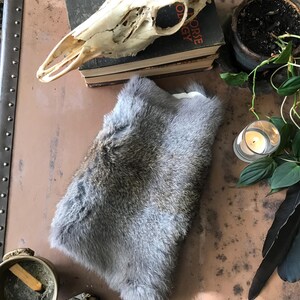 May include: A gray and brown fur pelt is the focal point of this image. A deer skull, a small potted plant, a lit candle, and a book are also visible. A brass bowl with a stick of incense and a bundle of sage are also present.