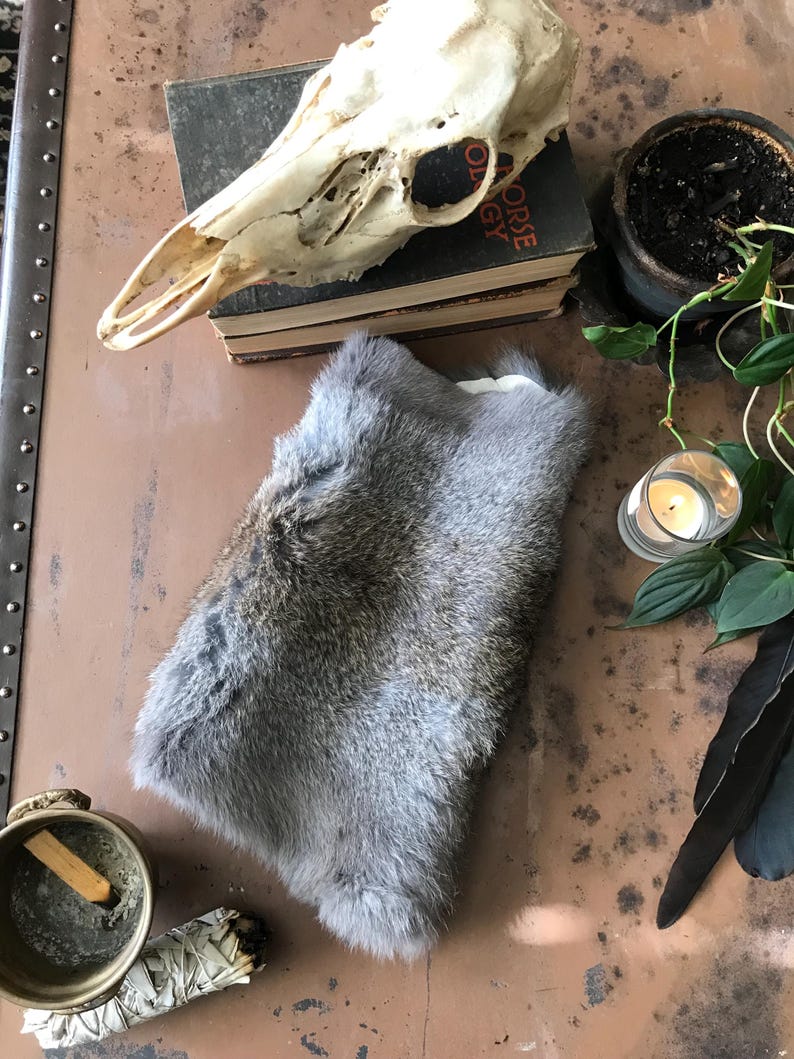 May include: A gray and brown fur pelt is the focal point of this image. A deer skull, a small potted plant, a lit candle, and a book are also visible. A brass bowl with a stick of incense and a bundle of sage are also present.