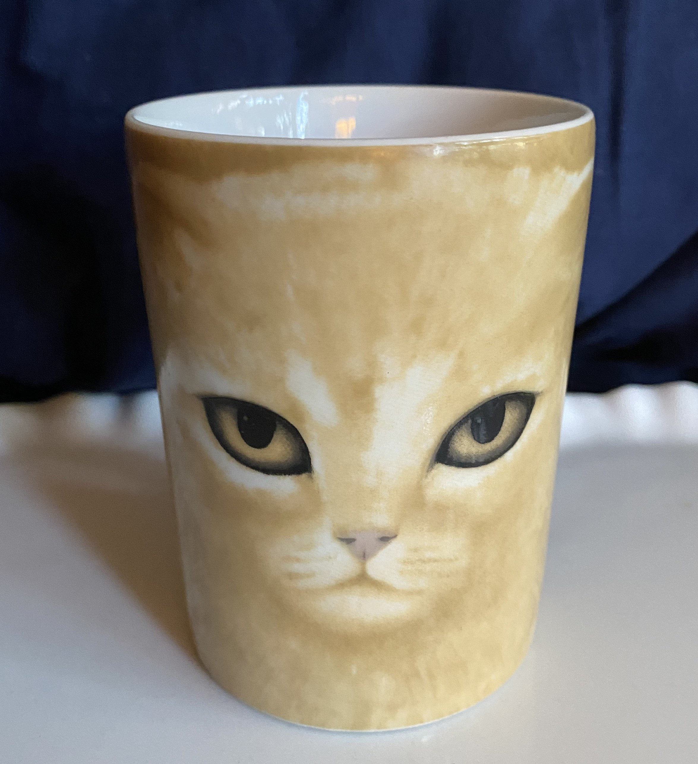 Martin leman cat - Etsy 日本