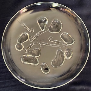 May include: A clear glass plate with a raised design of various shapes and lines. The design resembles sea life, with shrimp and other aquatic creatures.