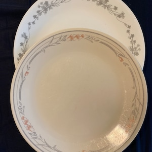 Könnte beinhalten: Zwei weiße Keramikteller mit Blumenmuster. Der kleinere Teller hat ein graues Blumenmuster mit einem hellbraunen Akzent. Der größere Teller hat ein graues Blumenmuster.