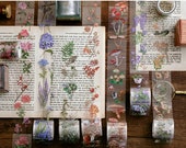 Transparent PET Washi Tape in a Beautiful Box, Botanical, Flowers, Leaves ,Mushrooms, Shabby Chic Washi, Delicates Washi Tape, Junk Journal