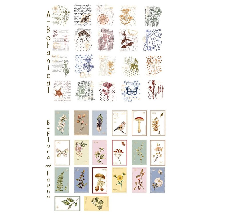 Vellum Sticker Butterfly Sticker Botanical Sticker Bird Etsy