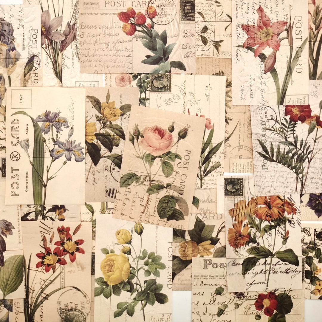 Botanical Scrapbook Paper: Vintage Ledger Sheets for Junk Journals - Etsy
