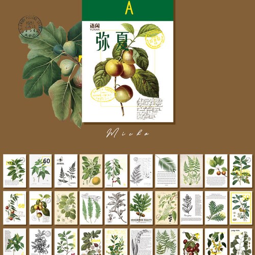 Vellum Gold Foiled Ephemera Booklet 100 Pages Mushrooms Etsy