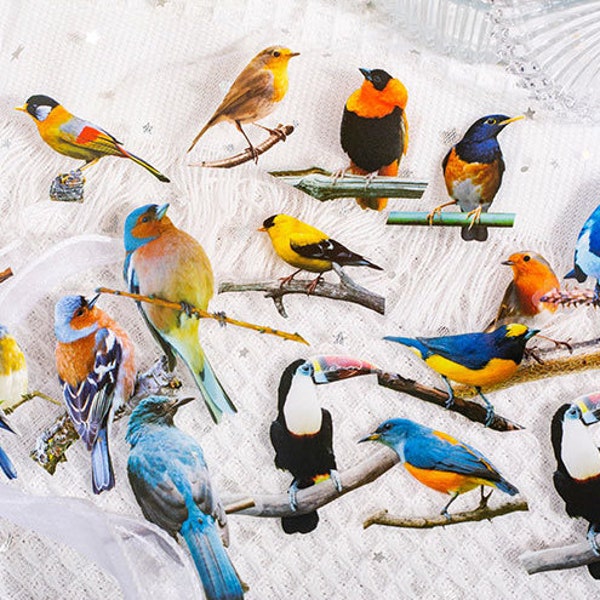 30Pcs Birds PET Sticker, Transparent Sticker, Junk Journal, Scrapbook, Planner, Mixed Media