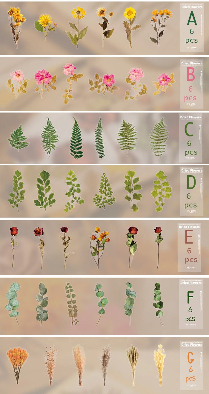 Set of 6 Botanical Big Stickers Dried Flower Sticker | Etsy