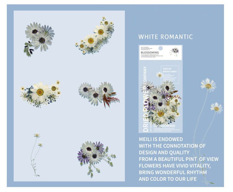 Set of 6 Botanical Big Stickers Dried Flower Sticker Etsy