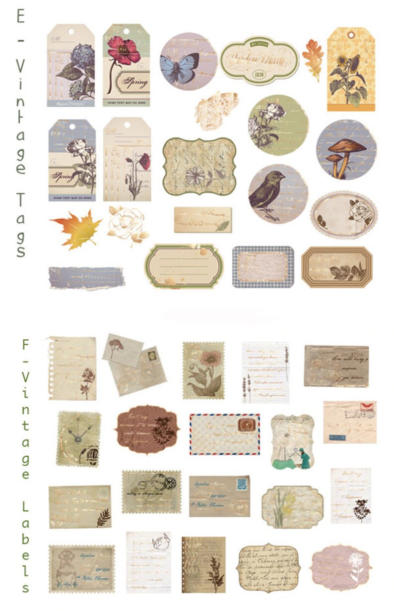 Vellum Sticker Butterfly Sticker Botanical Sticker Bird Etsy