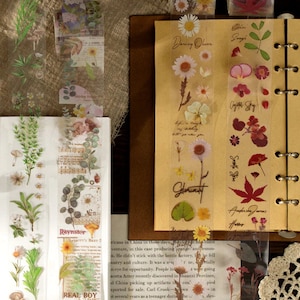 Transparent PET Washi Tape Botanical, Floral, Foliage Butterflies, Berries,  Junk Journal, Scrapbooking, Planner, Mixed Media