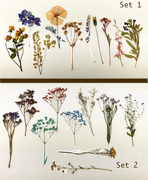 Botanical Stickers, PET Sticker, Transparent Sticker, Floral