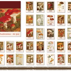 Ephemera Calendar Booklet  31 pcs, Mushroom, Botanical, Butterfly, Ticket, Vintage Lady, Shabby Chic Collage, Junk Journal,Scrapbook,Planner