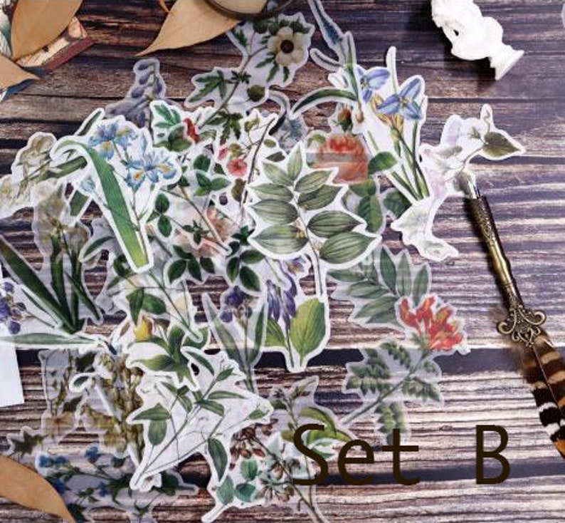 Vellum Sticker Botanical Sticker Garden Sticker Plant Etsy