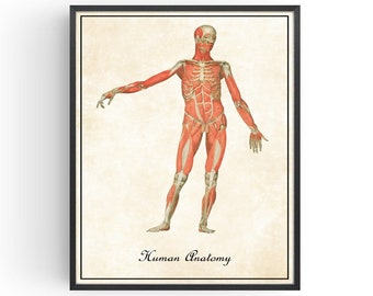 Póster de anatomía humana, arte de pared gótico médico corporal, impresiones Vintage Steampunk, ilustraciones