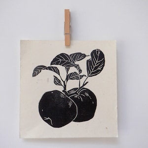 botanical fruit, apple print. lino cut. handmade print