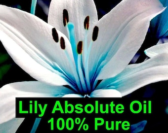 Lily Absolute - 100% Pure Premium Oil