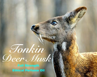 Tonkin Deer Musk Oil Perfume - Made From Pure DM Grains.