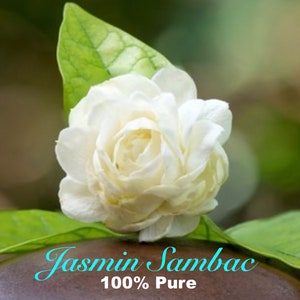 Jasmin Sambac - Pure Perfume Oil