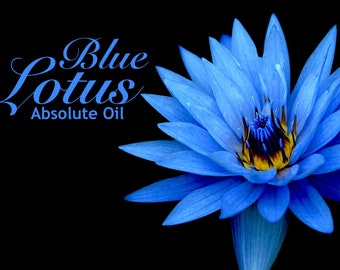 Blue Lotus - 100% Absolute Oil