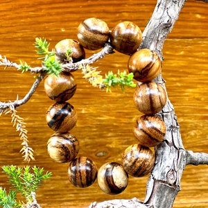 May include: A wooden bracelet with brown and black beads. The bracelet is displayed on a branch of a bonsai tree.