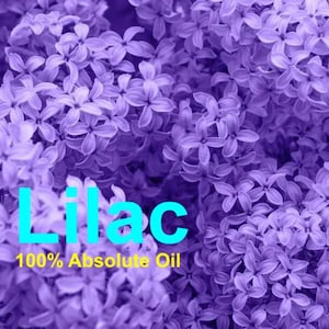 Lilac - 100% Pure Absolute Oil | Vegan