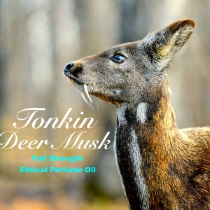 Musk ox online perfume
