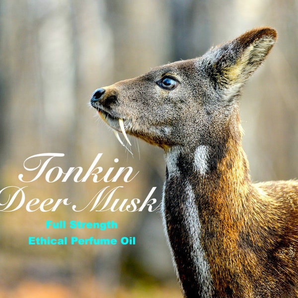 Tonkin Deer Musk Oil Perfume - Made From Pure DM Grains.