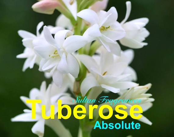 Jasmine Tuberose Pure Essential Oil Blend