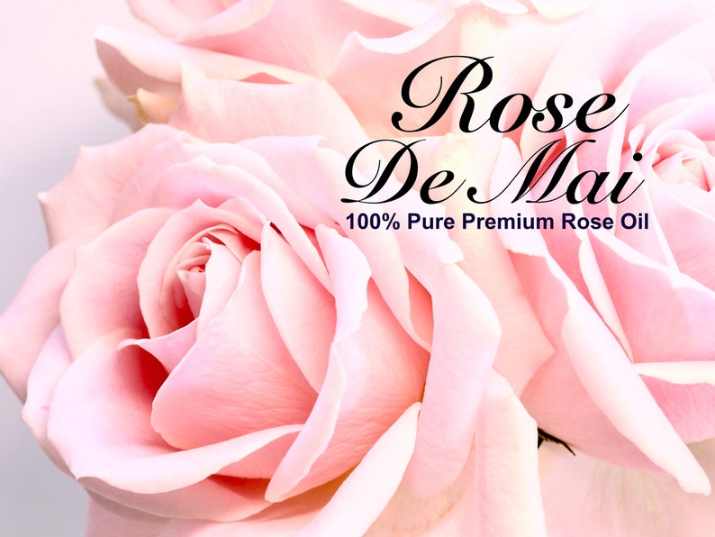 Op de afbeelding: Close-up van roze rozen met de tekst "Rose De Mai 100% Pure Premium Rose Oil" in zwart.