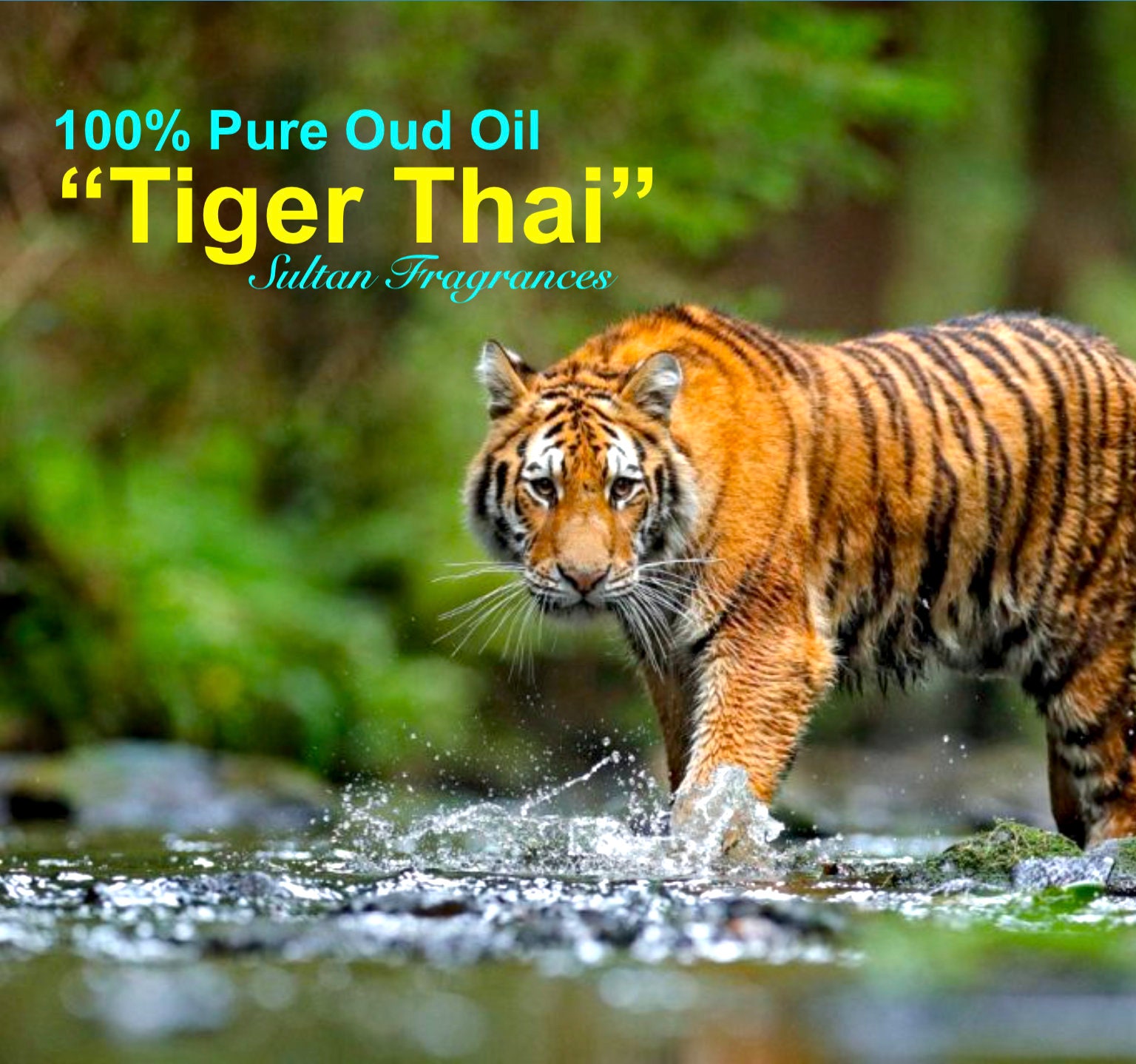 Tiger Thai Oud- 100% Pure AgarwoodOil | Vegan