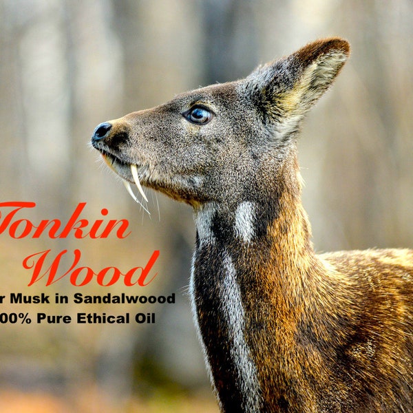 Deer Musk - Tonkin Wood -100% Pure Perfume Oil - Made From Pure DM Grains
