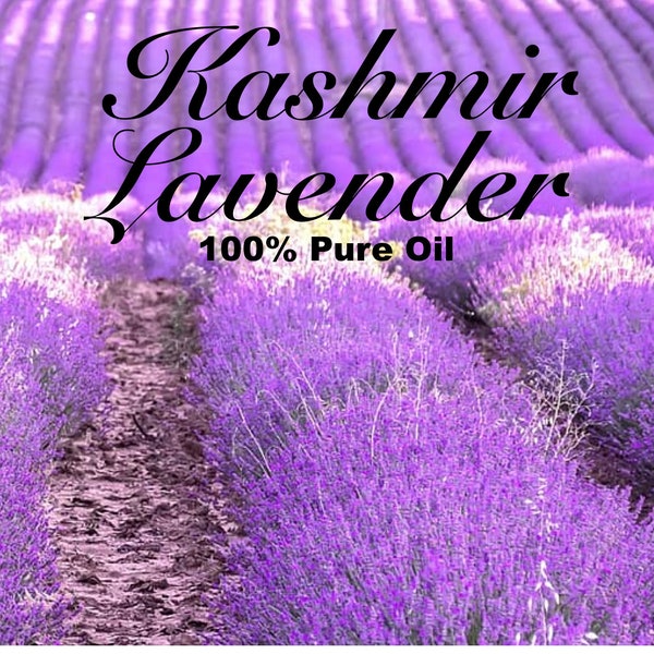 Kashmiri Lavender - 100% Pure Essential Oil - Perfume Grade