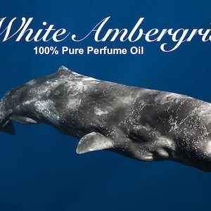 Olejek perfumowany Pure White Ambergris