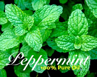 Peppermint - 100% Pure Perfume Grade Oil