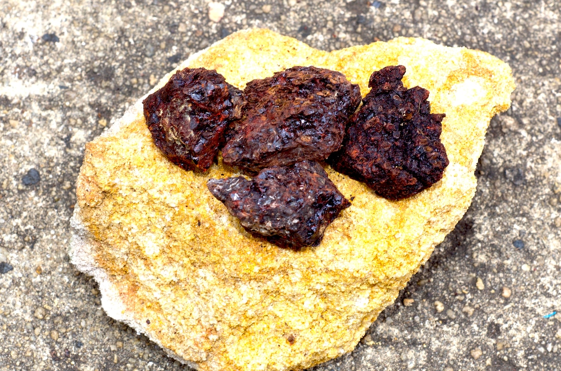 Xanthorrhoea Resin Incense Australian Grass Tree Resin Etsy