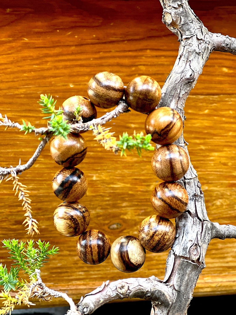 May include: A wooden bracelet with brown and black beads. The bracelet is displayed on a branch of a bonsai tree.