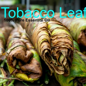best tobacco alternatives for weed reddit Amazon.com: Herbal Cigarettes - Nicotine Free, Tobacco Free, THC Free, 100% Natural, Additives Free | Cigarette and Vape Alternative for Quit Smoking | 1 Pack-10 Prerolls best tobacco alternatives for weed reddit Amazon.com: Herbal Cigarettes - Nicotine Free, Tobacco Free, THC Free, 100% Natural, Additives Free | Cigarette and Vape Alternative for Quit Smoking | 1 Pack-10 Prerolls