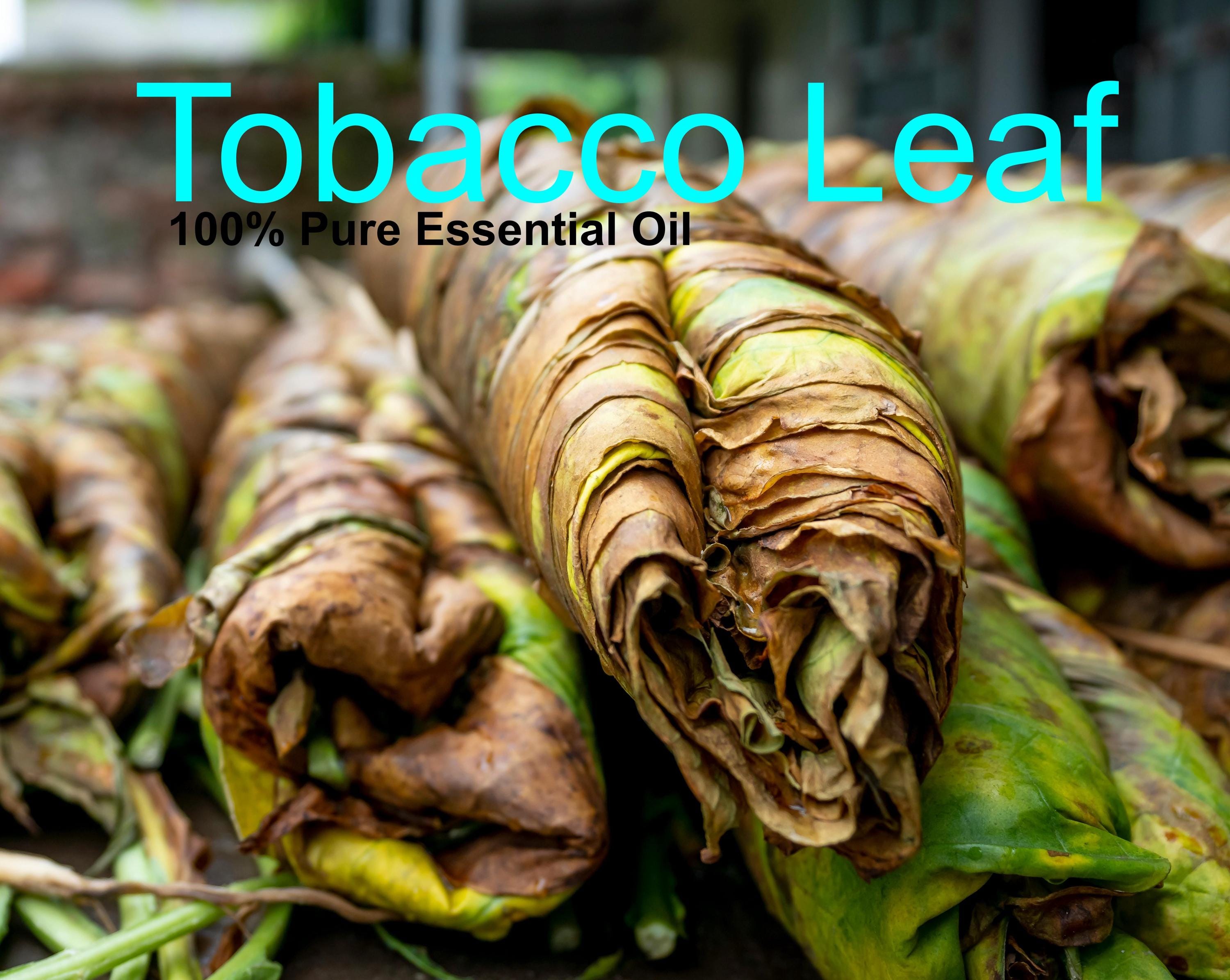 Pure Tobacco Leaves