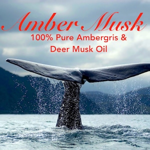 Pure Amber Musk Blend Perfume Oil